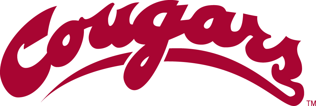 Washington State Cougars 1995-2010 Wordmark Logo diy DTF decal sticker